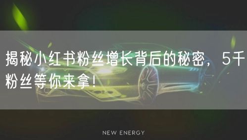 揭秘小红书粉丝增长背后的秘密，5千粉丝等你来拿！