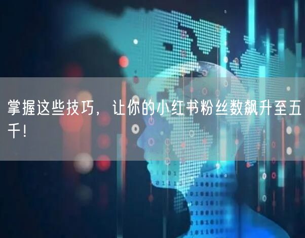 掌握这些技巧，让你的小红书粉丝数飙升至五千！