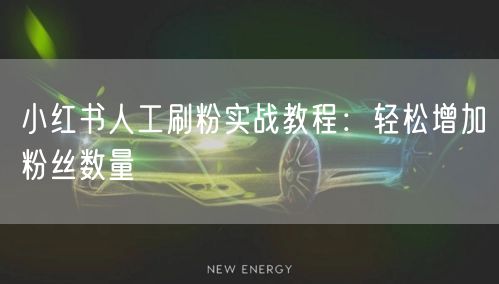 小红书人工刷粉实战教程：轻松增加粉丝数量