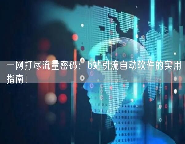 一网打尽流量密码：b站引流自动软件的实用指南！
