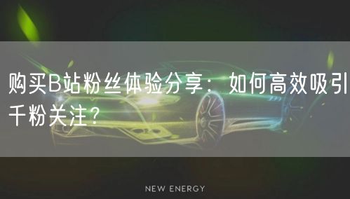 购买B站粉丝体验分享：如何高效吸引千粉关注？