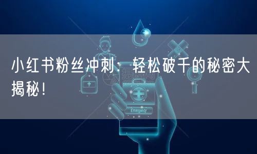 小红书粉丝冲刺：轻松破千的秘密大揭秘！