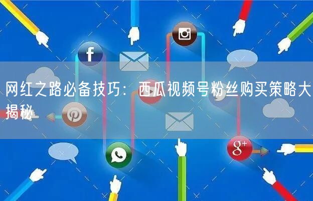 网红之路必备技巧：西瓜视频号粉丝购买策略大揭秘