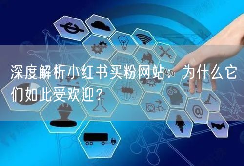 深度解析小红书买粉网站：为什么它们如此受欢迎？