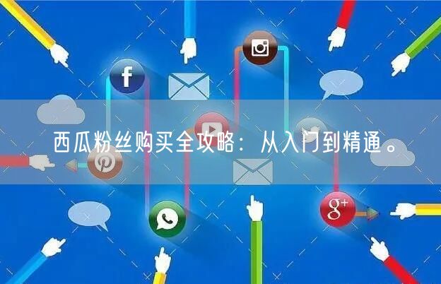 西瓜粉丝购买全攻略:从入门到精通。