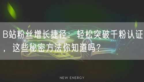 B站粉丝增长捷径：轻松突破千粉认证，这些秘密方法你知道吗？