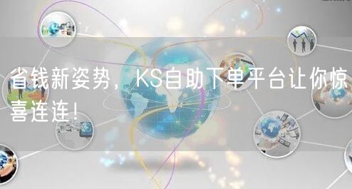 省钱新姿势，KS自助下单平台让你惊喜连连！