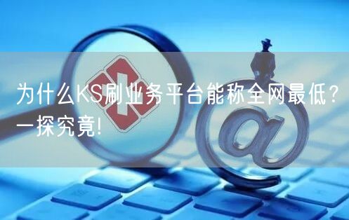 为什么KS刷业务平台能称全网最低？一探究竟!