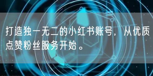 打造独一无二的小红书账号，从优质点赞粉丝服务开始。