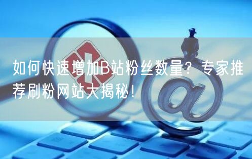 如何快速增加B站粉丝数量?专家推荐刷粉网站大揭秘!