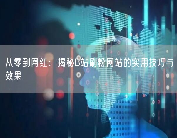 从零到网红：揭秘B站刷粉网站的实用技巧与效果