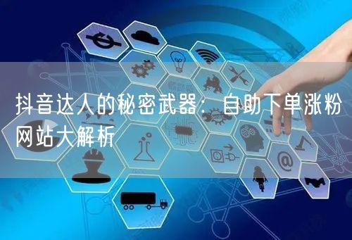 抖音达人的秘密武器：自助下单涨粉网站大解析