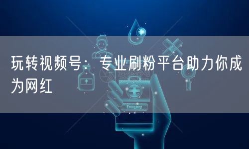 玩转视频号：专业刷粉平台助力你成为网红