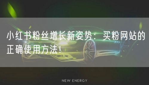 小红书粉丝增长新姿势：买粉网站的正确使用方法！