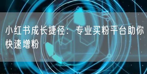 小红书成长捷径：专业买粉平台助你快速增粉