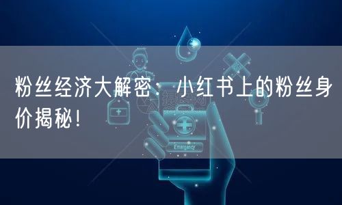 粉丝经济大解密：小红书上的粉丝身价揭秘！