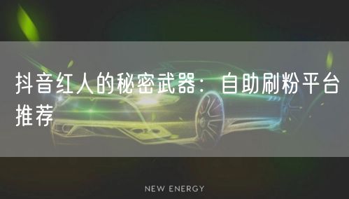 抖音红人的秘密武器:自助刷粉平台推荐