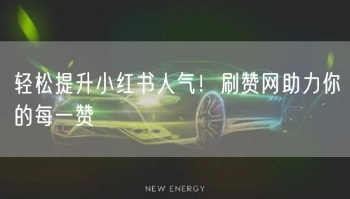 轻松提升小红书人气！刷赞网助力你的每一赞