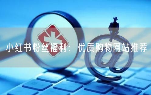 小红书粉丝福利：优质购物网站推荐