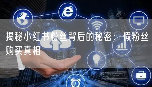揭秘小红书粉丝背后的秘密：假粉丝购买真相