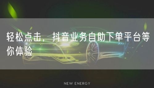 轻松点击，抖音业务自助下单平台等你体验