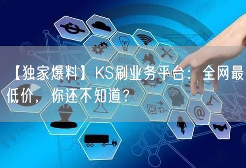 【独家爆料】KS刷业务平台：全网最低价，你还不知道？