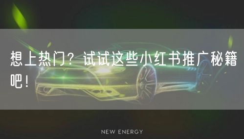 想上热门？试试这些小红书推广秘籍吧！