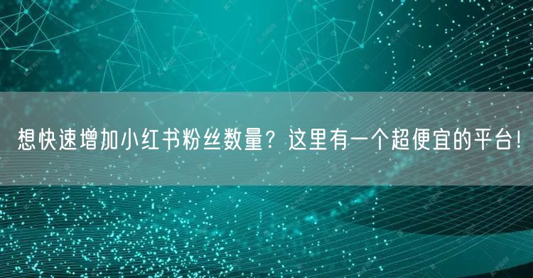 想快速增加小红书粉丝数量？这里有一个超便宜的平台！