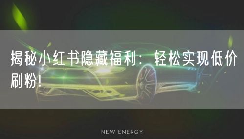 揭秘小红书隐藏福利：轻松实现低价刷粉!