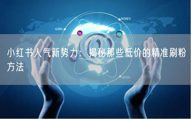 小红书人气新势力：揭秘那些低价的精准刷粉方法