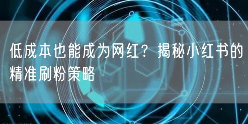低成本也能成为网红？揭秘小红书的精准刷粉策略