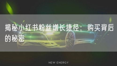 揭秘小红书粉丝增长捷径：购买背后的秘密