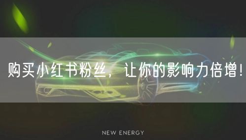 购买小红书粉丝，让你的影响力倍增！