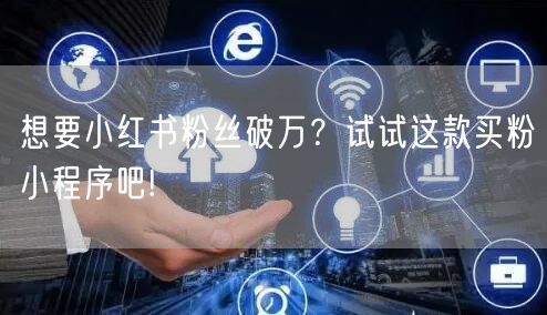 想要小红书粉丝破万？试试这款买粉小程序吧!