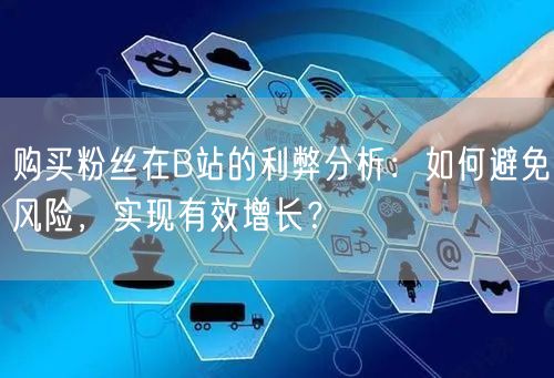 购买粉丝在B站的利弊分析：如何避免风险，实现有效增长？