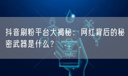 抖音刷粉平台大揭秘：网红背后的秘密武器是什么？