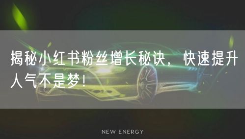 揭秘小红书粉丝增长秘诀，快速提升人气不是梦！