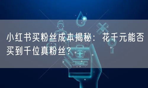 小红书买粉丝成本揭秘：花千元能否买到千位真粉丝？