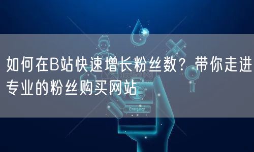 如何在B站快速增长粉丝数?带你走进专业的粉丝购买网站