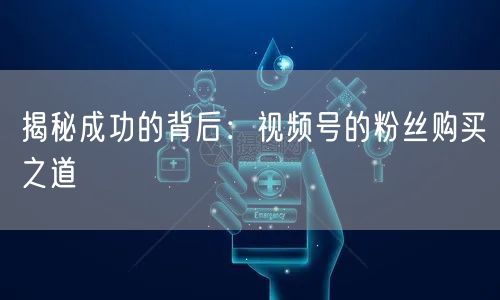 揭秘成功的背后：视频号的粉丝购买之道