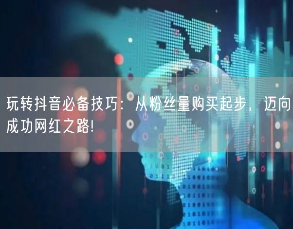 玩转抖音必备技巧：从粉丝量购买起步，迈向成功网红之路!