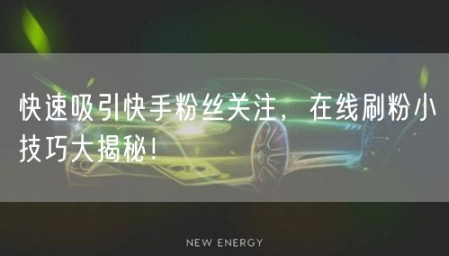 快速吸引快手粉丝关注，在线刷粉小技巧大揭秘！