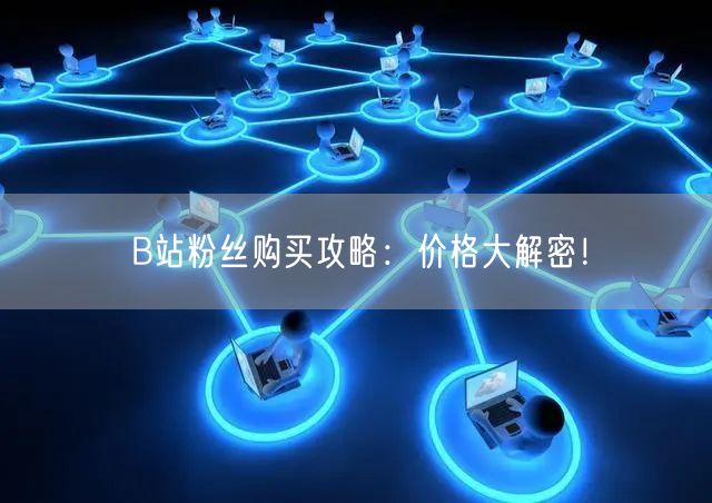 B站粉丝购买攻略：价格大解密！