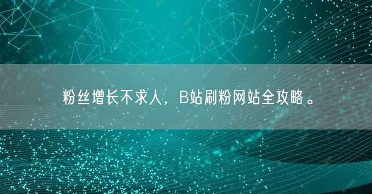 粉丝增长不求人，B站刷粉网站全攻略。