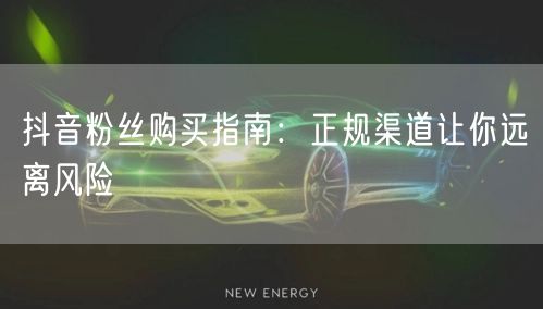 抖音粉丝购买指南：正规渠道让你远离风险