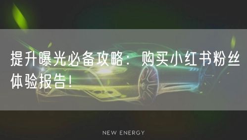 提升曝光必备攻略：购买小红书粉丝体验报告！