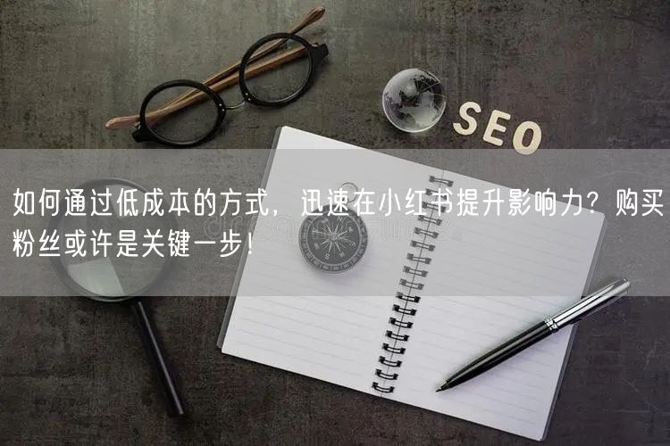 如何通过低成本的方式,迅速在小红书提升影响力?购买粉丝或许是关键一步!