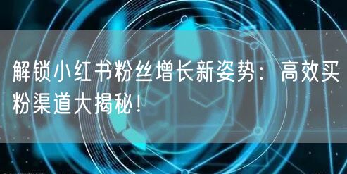 解锁小红书粉丝增长新姿势:高效买粉渠道大揭秘!