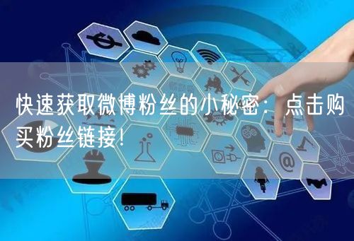 快速获取微博粉丝的小秘密：点击购买粉丝链接！