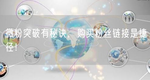 微粉突破有秘诀，购买粉丝链接是捷径！